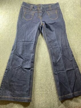 New York & Company Dark Blue Flare Jeans